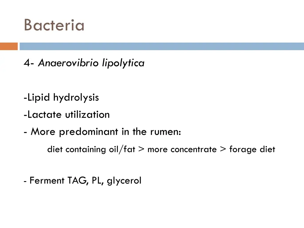 bacteria 3