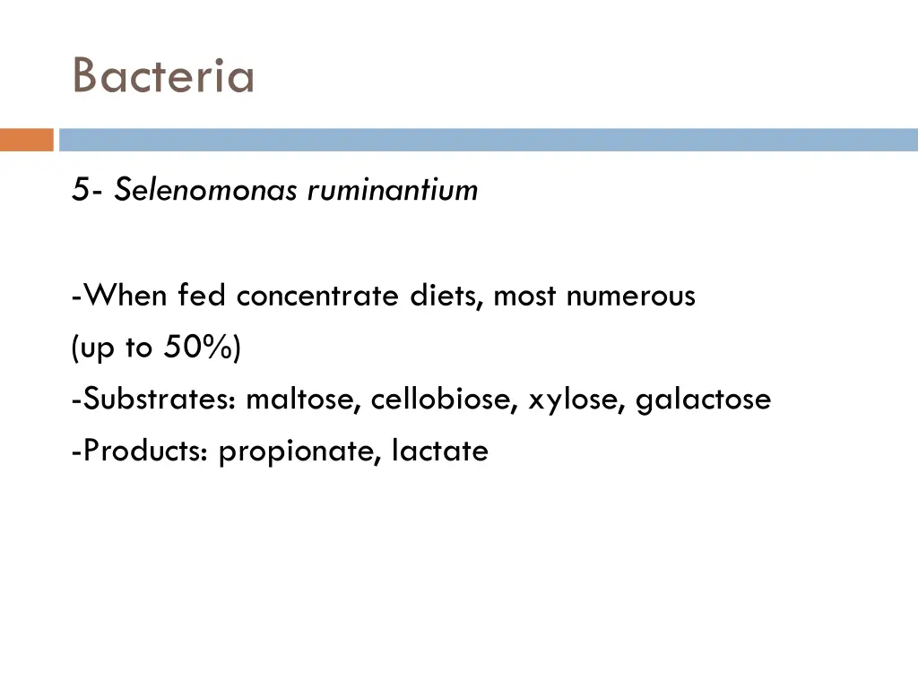 bacteria 4