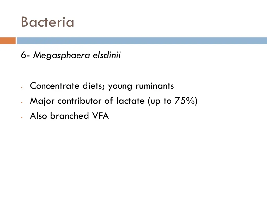 bacteria 5