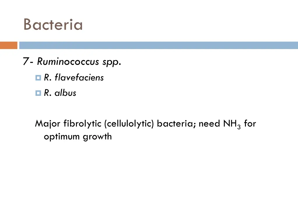 bacteria 6