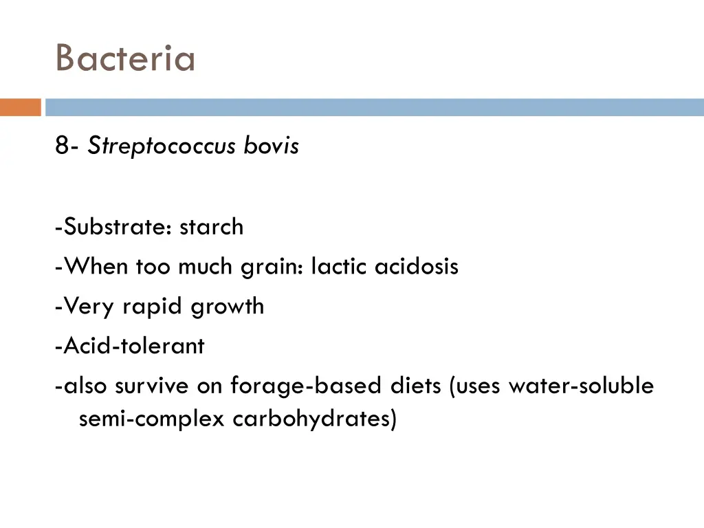 bacteria 7