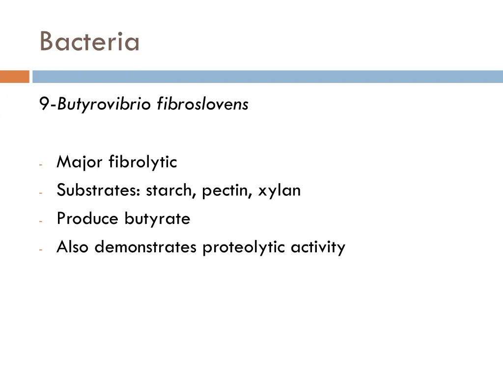 bacteria 8