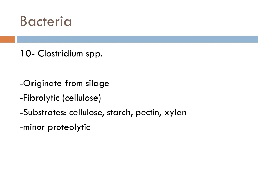 bacteria 9