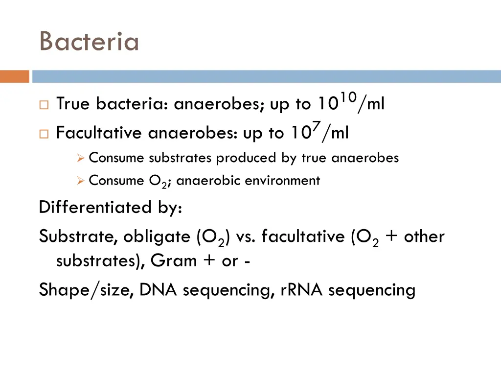 bacteria