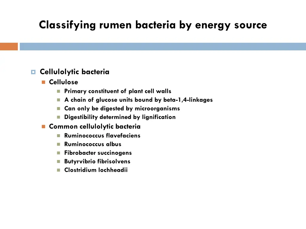 classifying rumen bacteria by energy source