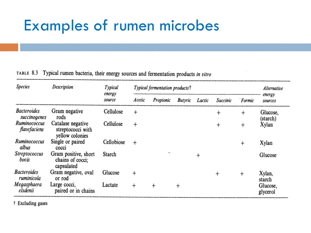 examples of rumen microbes