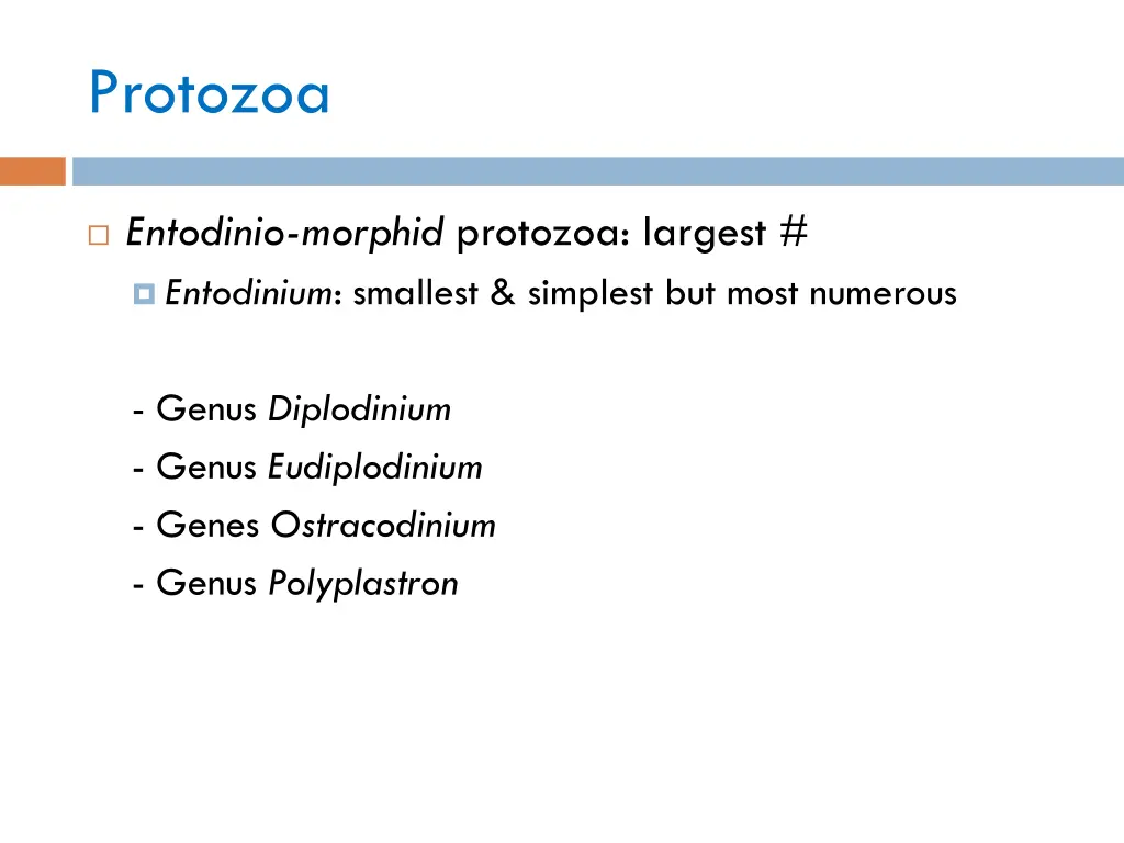 protozoa 1