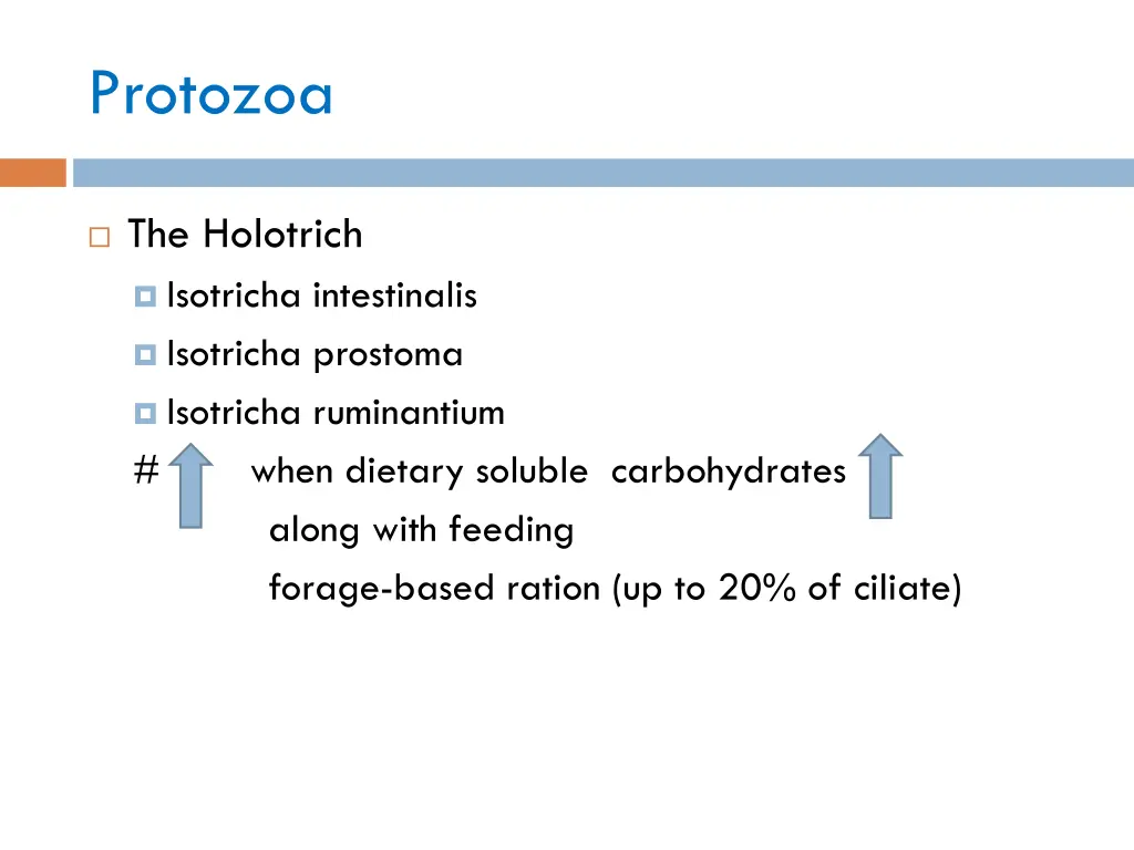 protozoa 2