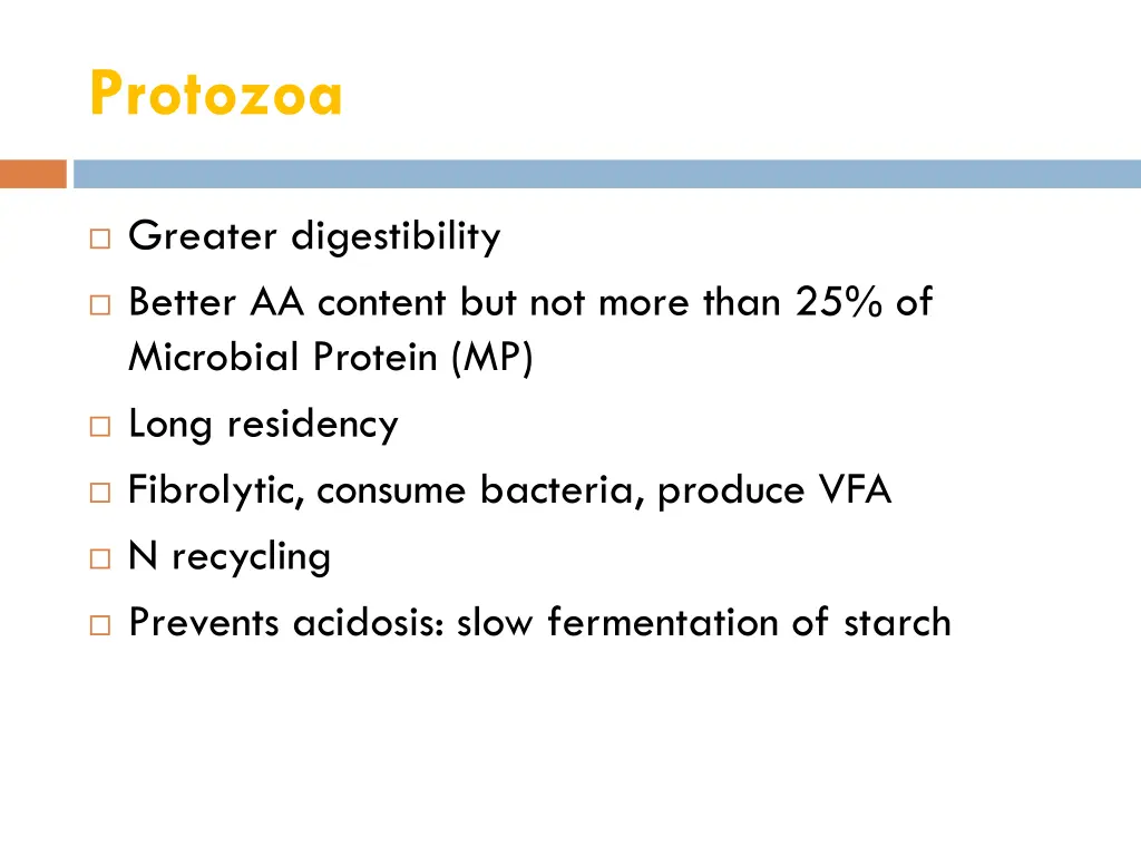 protozoa