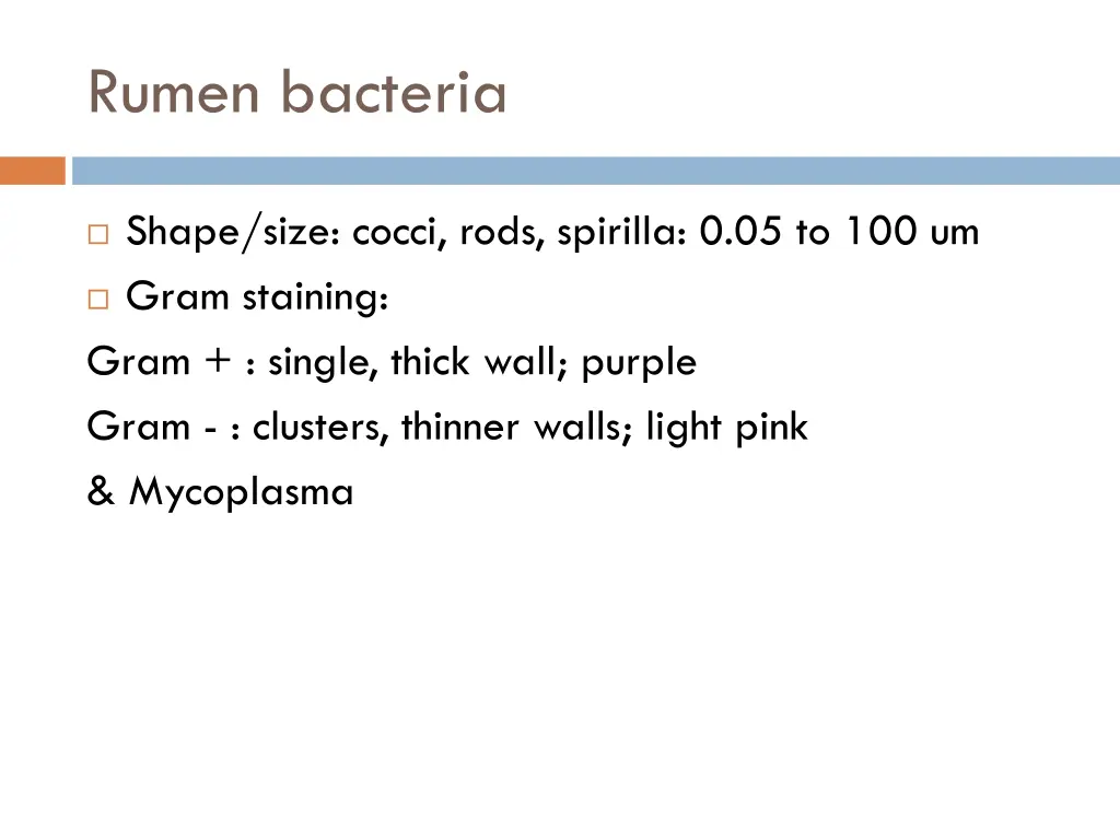 rumen bacteria 1