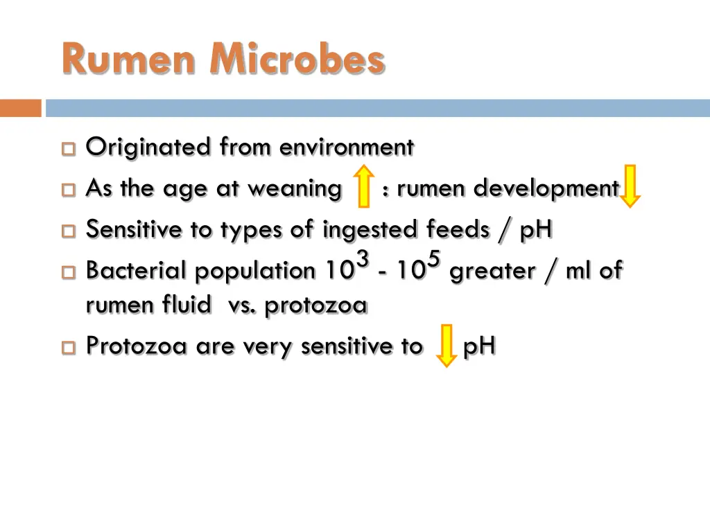 rumen microbes 2