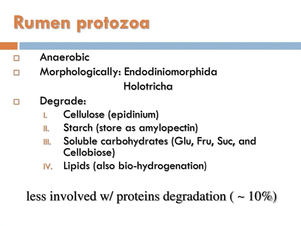 rumen protozoa 1