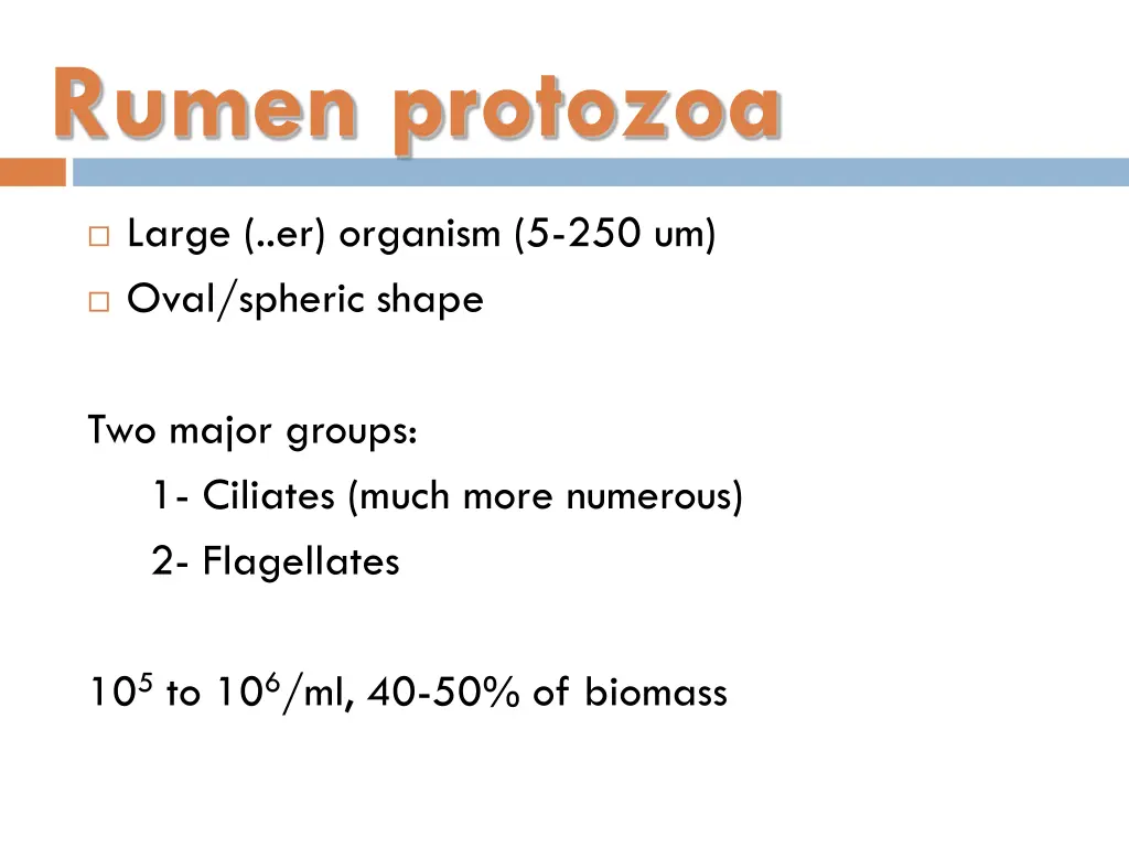 rumen protozoa