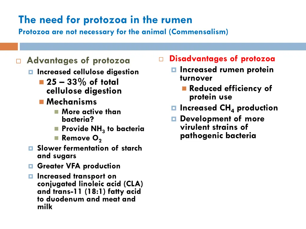 the need for protozoa in the rumen protozoa