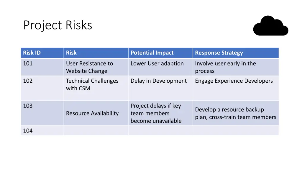 project risks