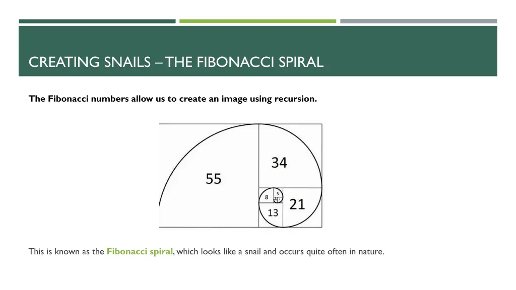 creating snails the fibonacci spiral