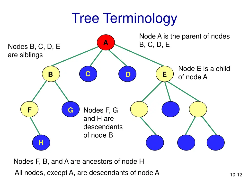 tree terminology 3