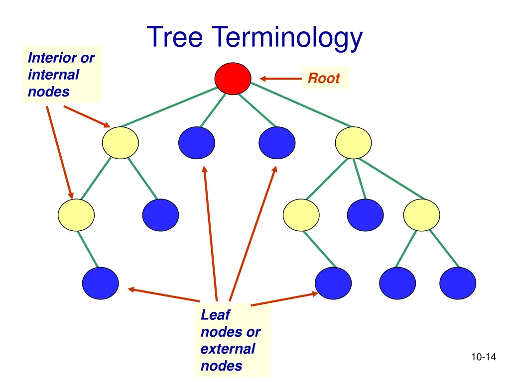 tree terminology 5