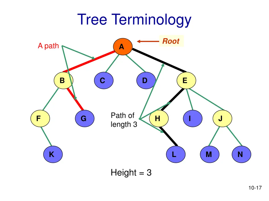 tree terminology 6