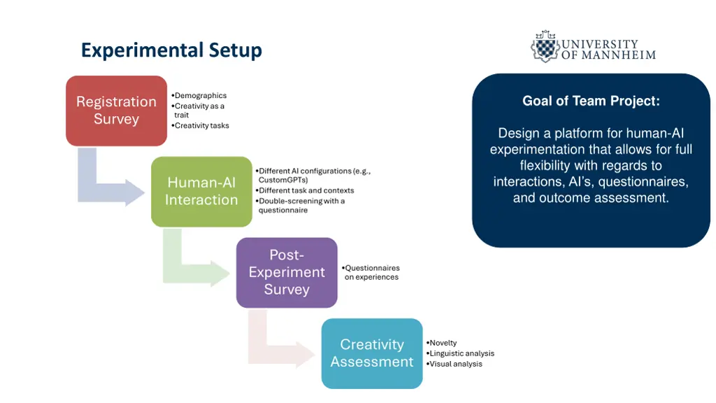 experimental setup