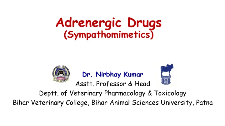 adrenergic drugs sympathomimetics