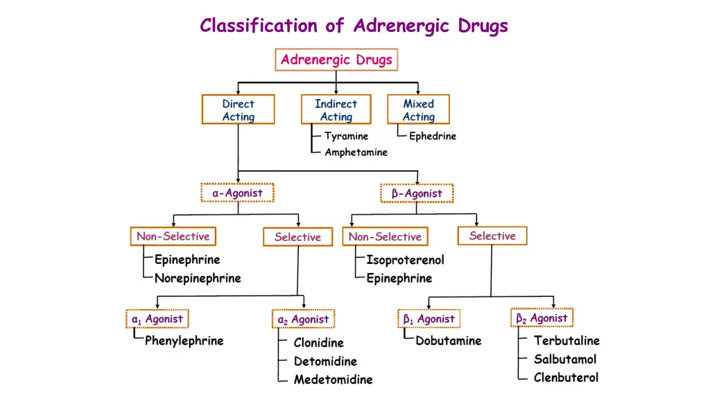 classification of adrenergic drugs 1