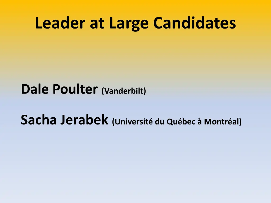 leader at large candidates