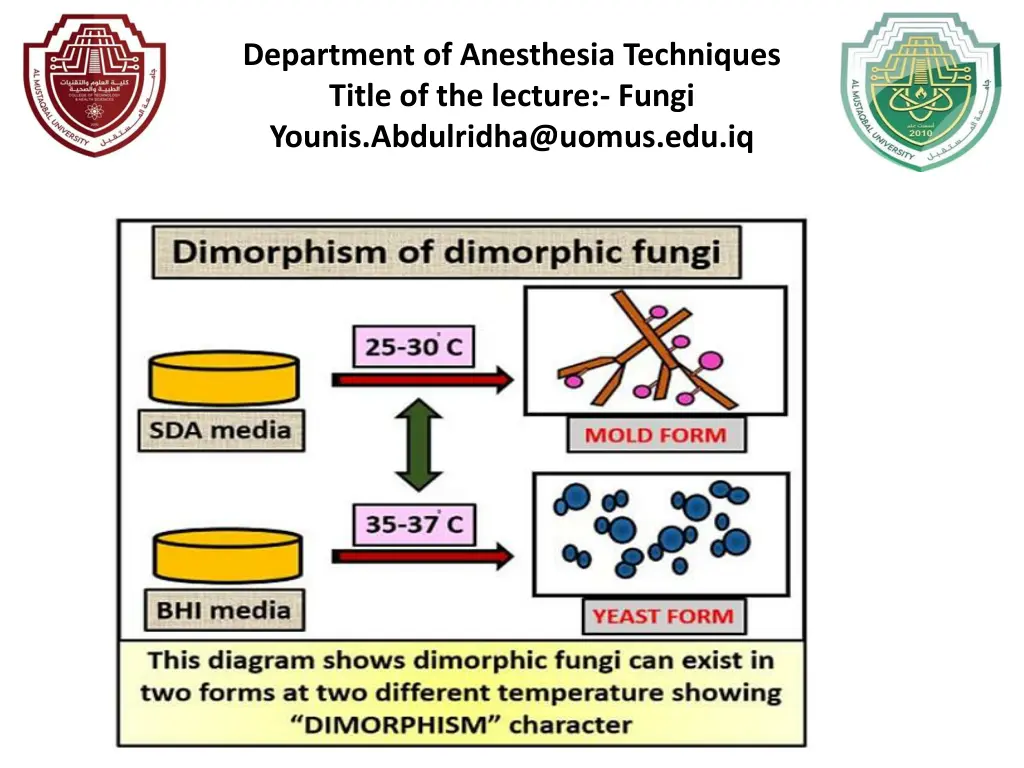 department of anesthesia techniques title 10