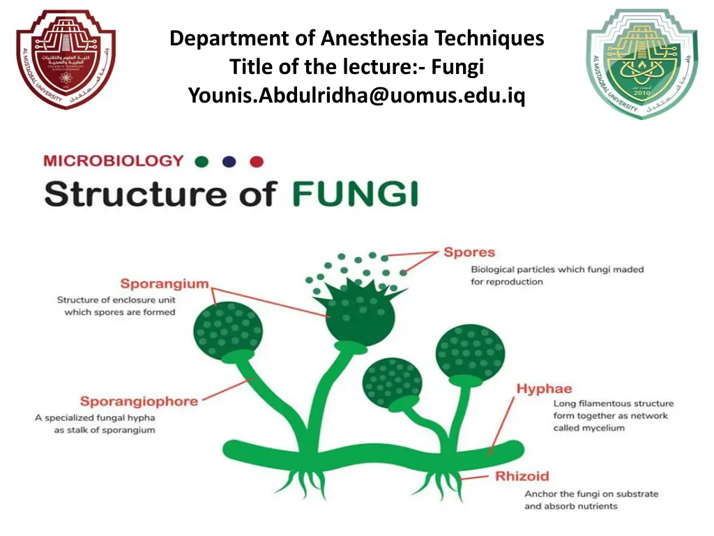 department of anesthesia techniques title 4