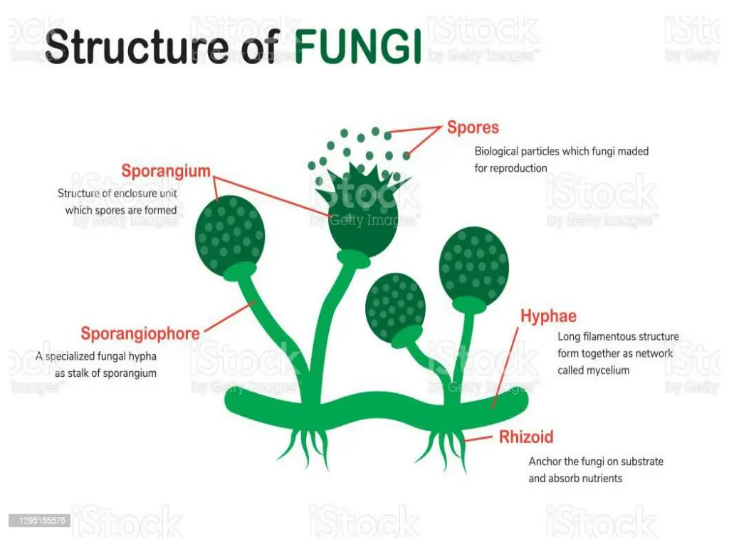 slide6