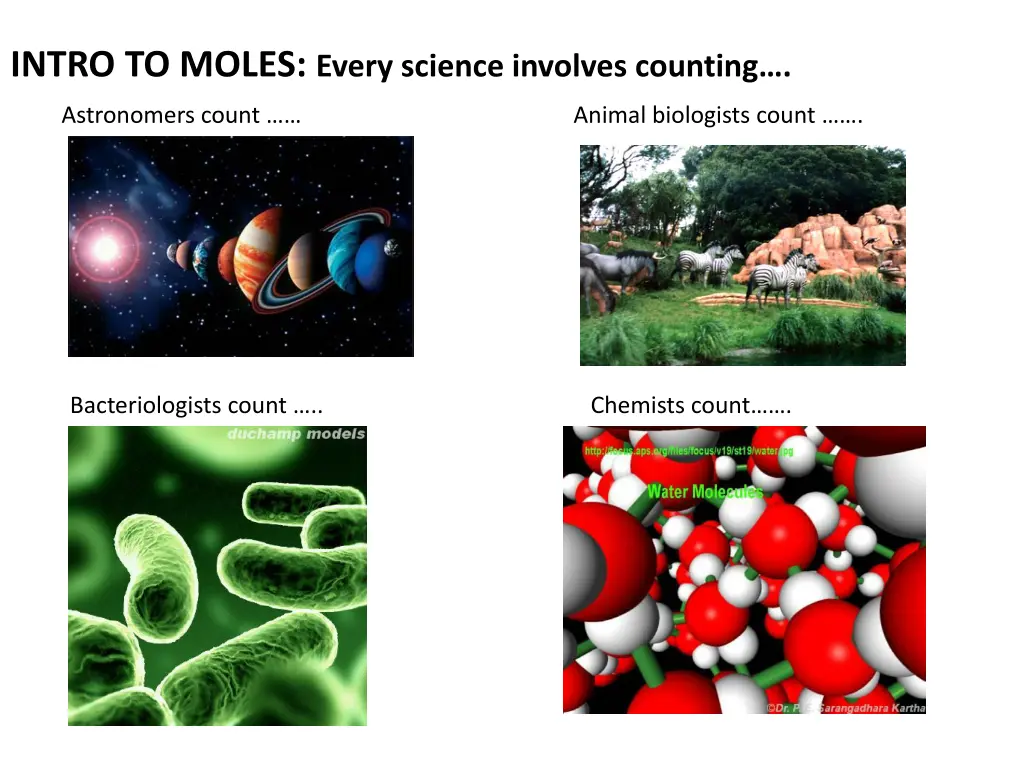 intro to moles every science involves counting
