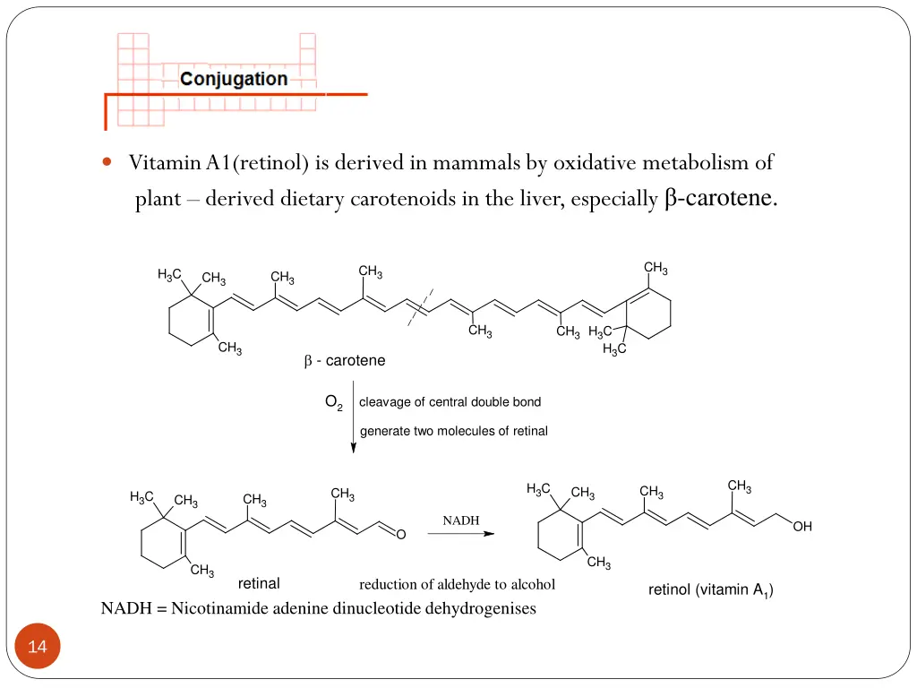 vitamin a1 retinol is derived in mammals