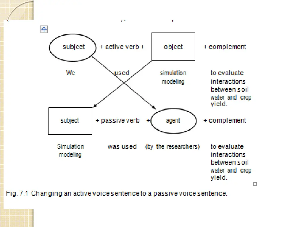 slide19