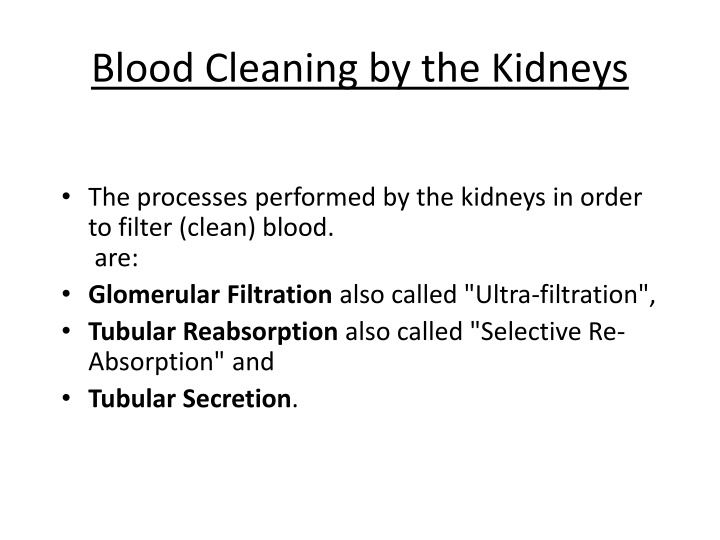 blood cleaning by the kidneys