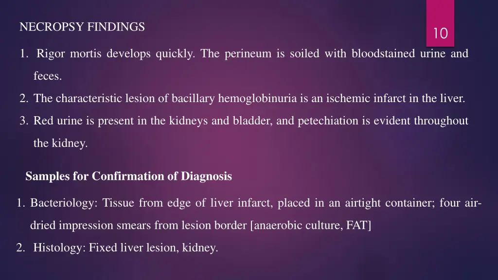 necropsy findings