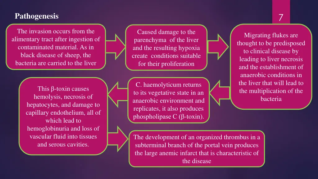 pathogenesis 1