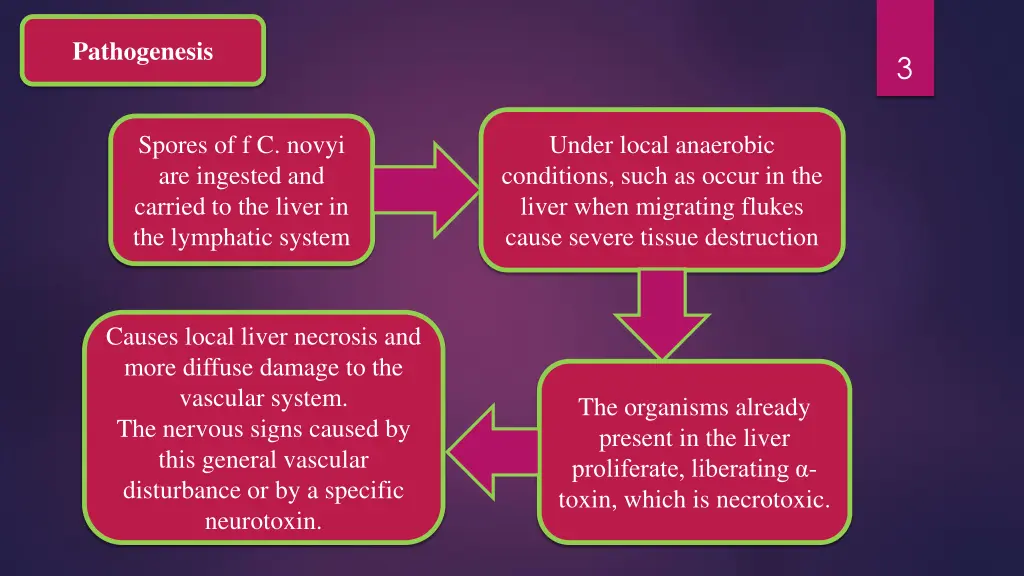 pathogenesis