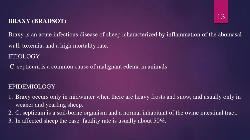 slide13
