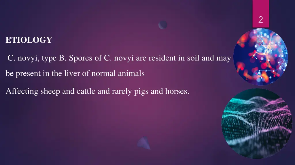 slide2