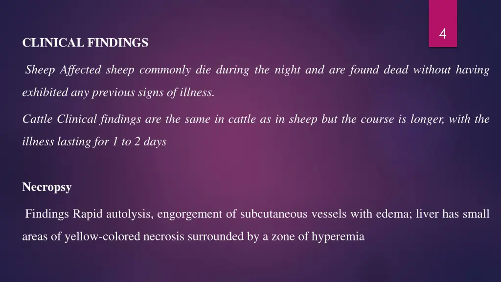 slide4
