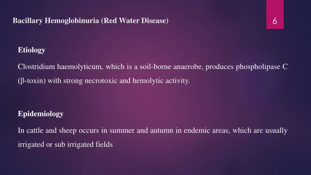 slide6