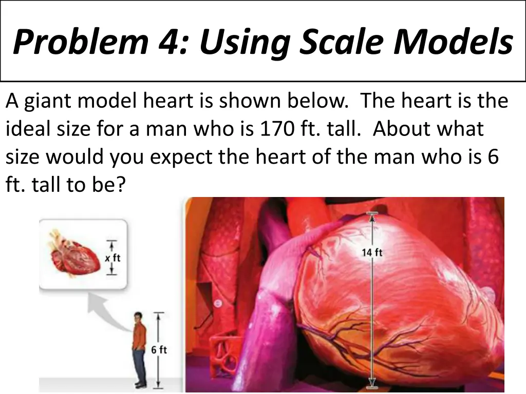 problem 4 using scale models