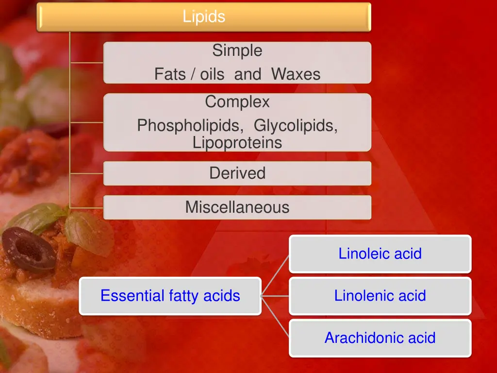 lipids 1