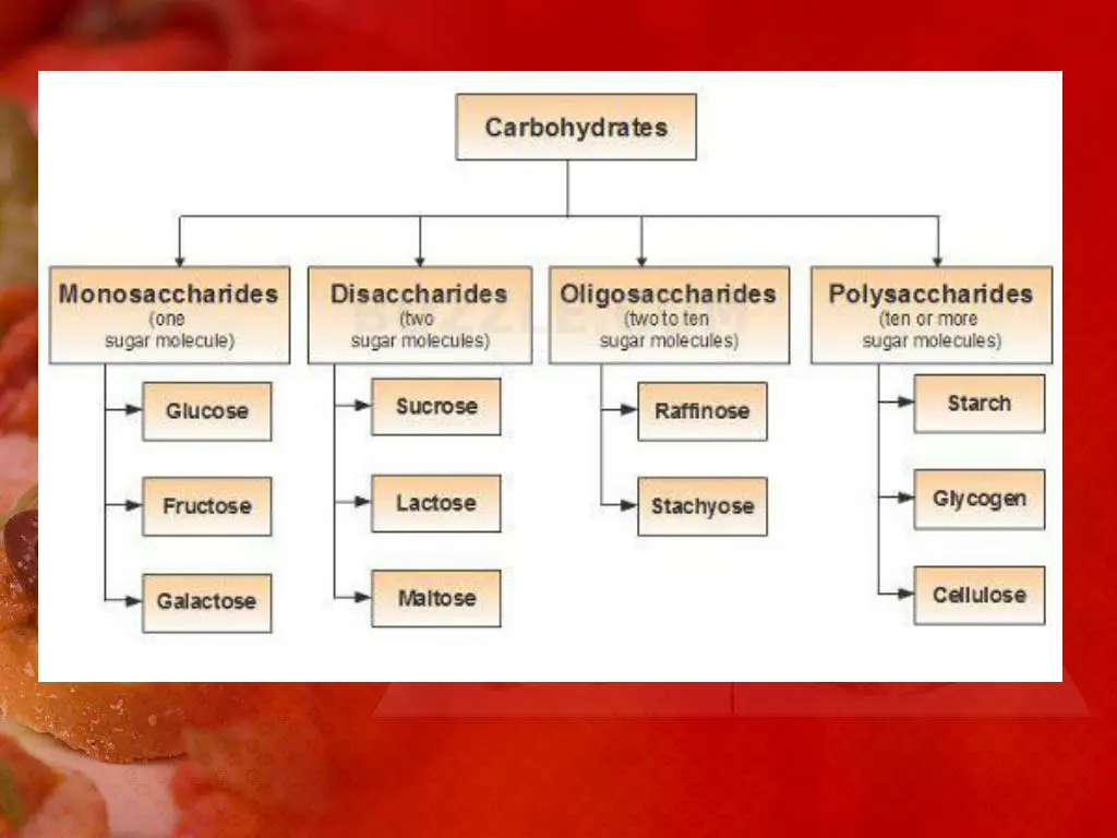 slide11