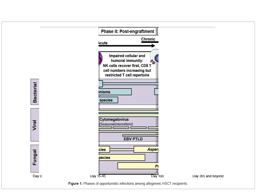 slide14