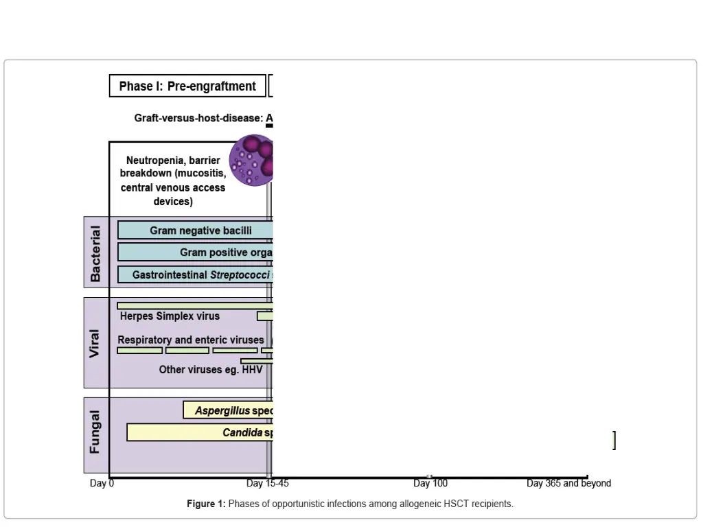slide7