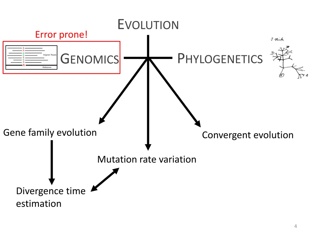 e volution 2
