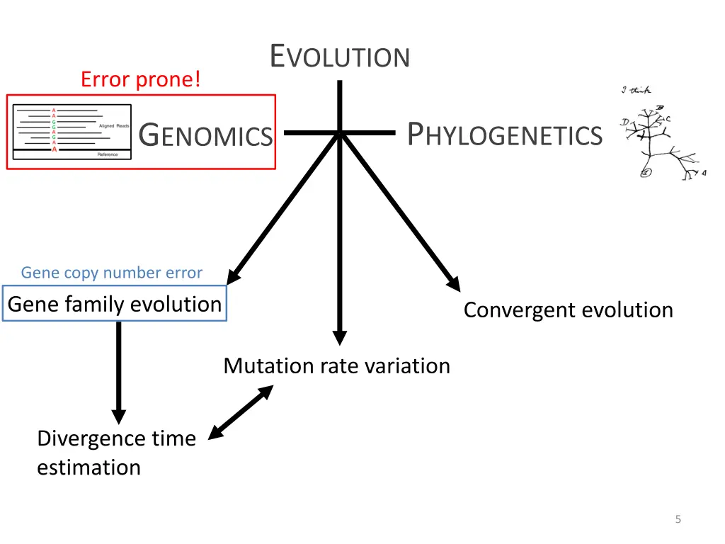 e volution 3