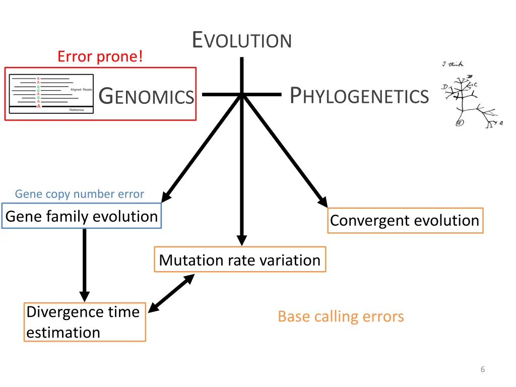 e volution 4