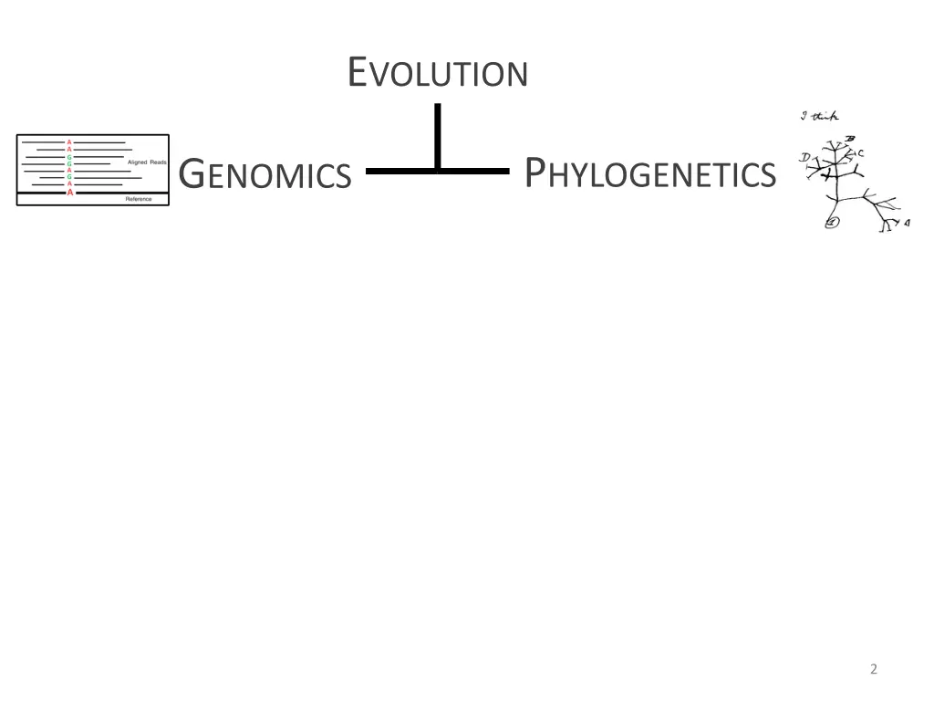 e volution
